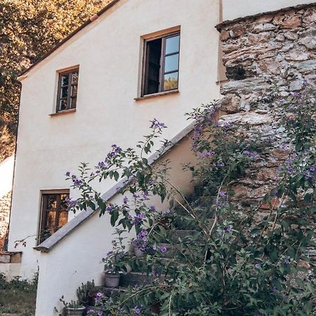 Le Petit Chateau Vezzi Portio Buitenkant foto